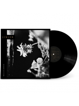 Wallflowers Black Vinyl
